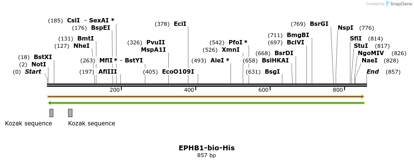 94005_map