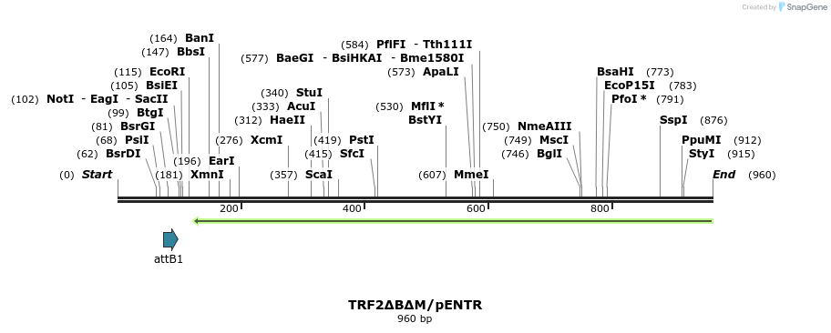 94006_map