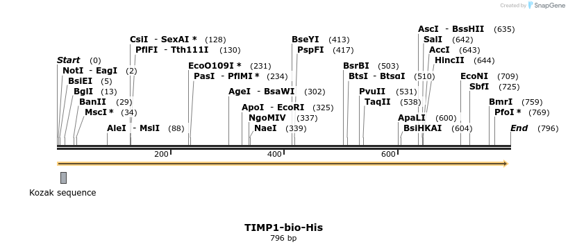 94007_map