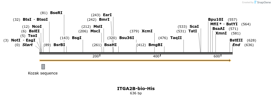 94008_map
