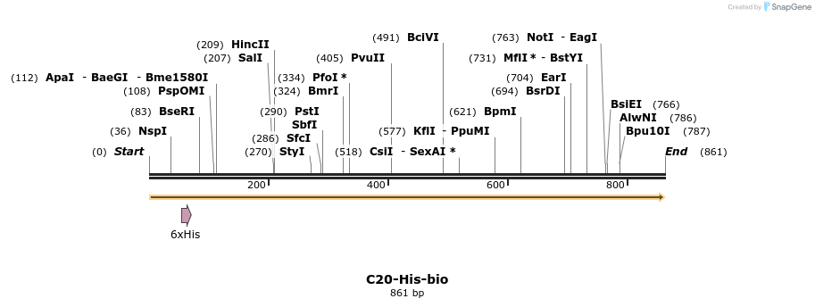 94010_map