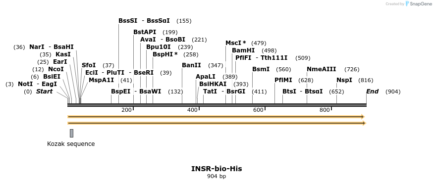 94011_map