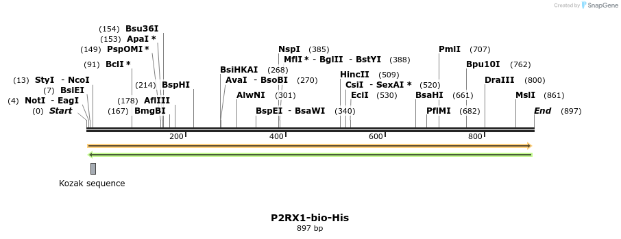 94012_map