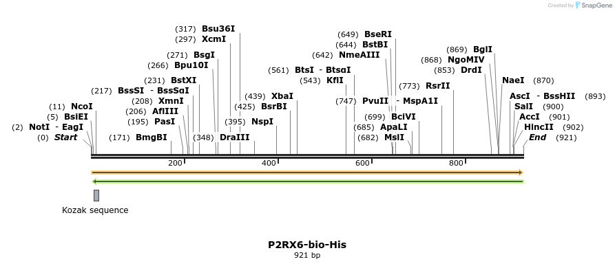 94013_map