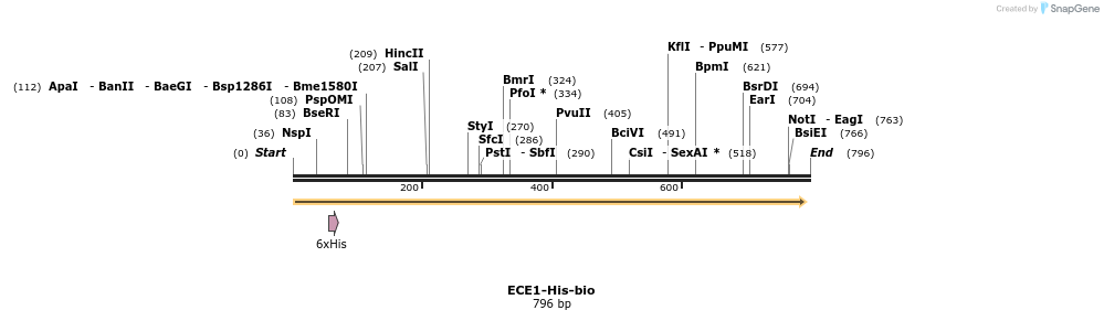 94015_map