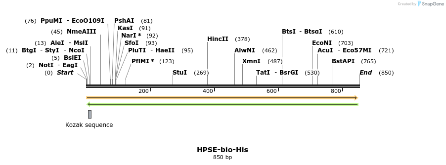 94017_map