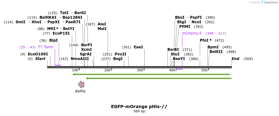 94019_map