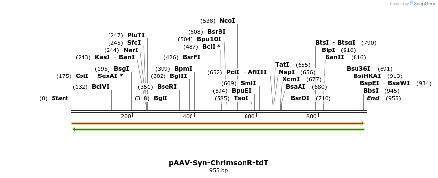 94020_map