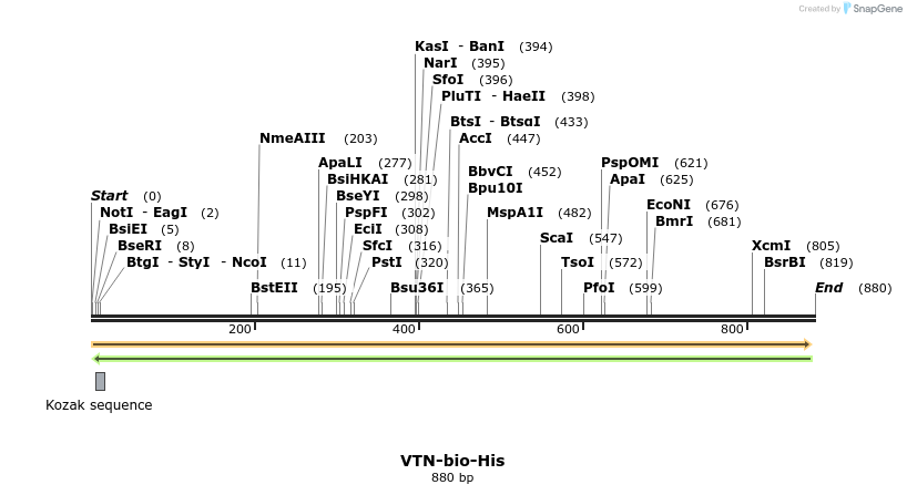 94021_map