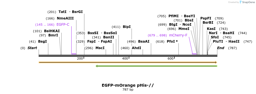 94022_map