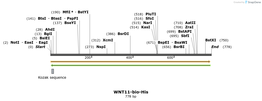 94023_map
