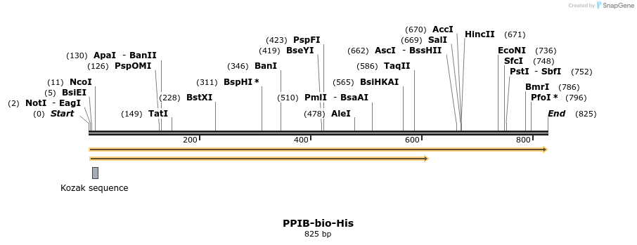 94025_map