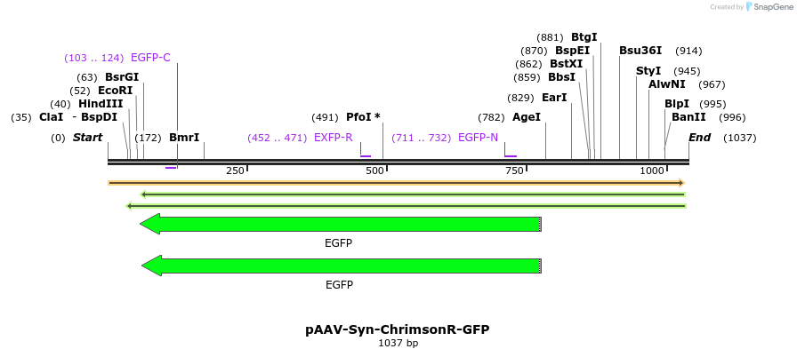 94026_map