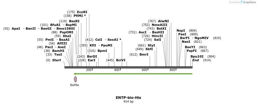 94029_map