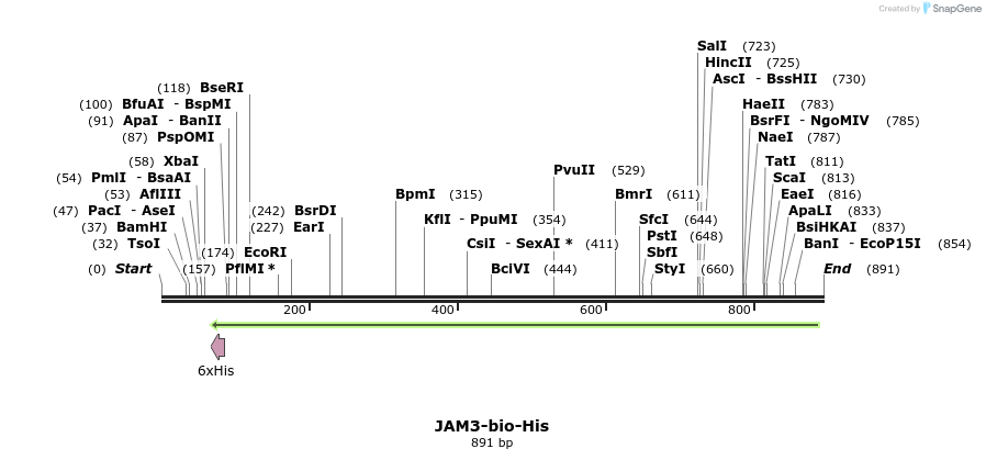 94030_map