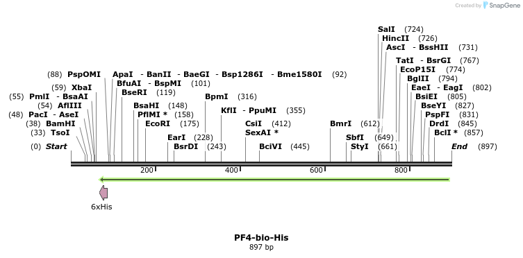 94031_map