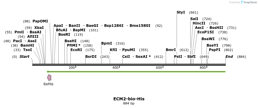 94033_map