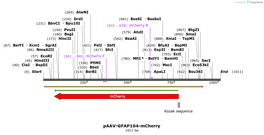 94034_map