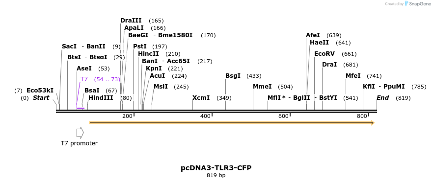 94035_map