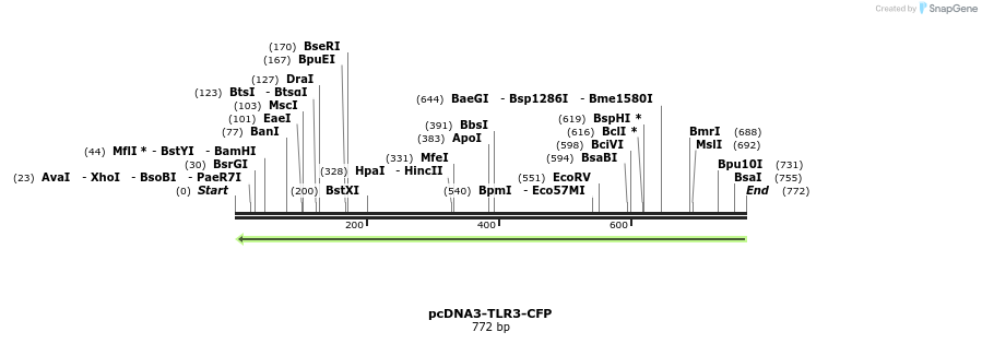 94036_map