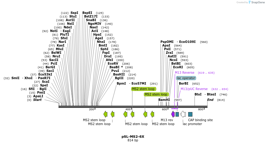 94038_map