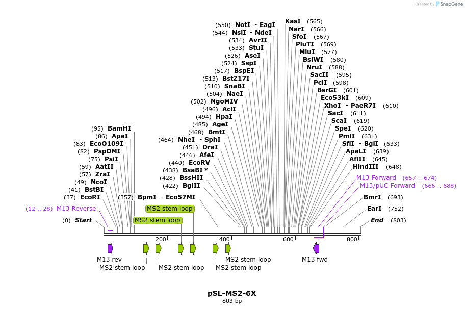 94039_map