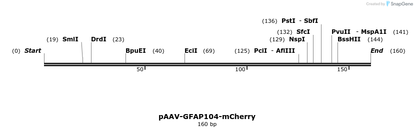 94040_map