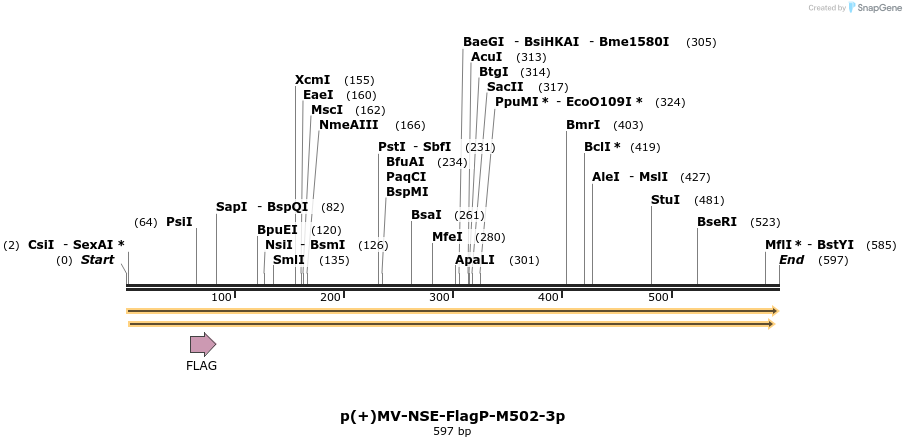 94043_map