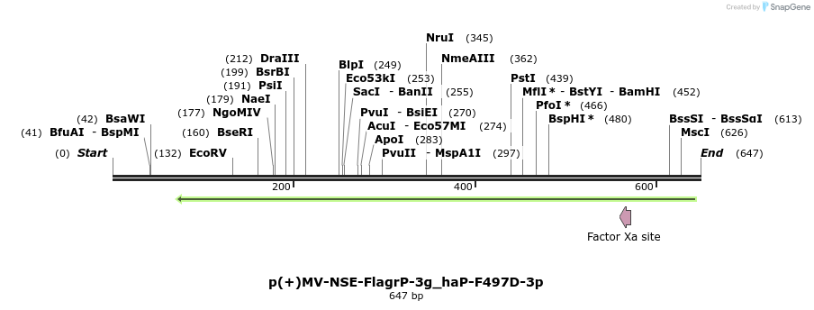 94047_map