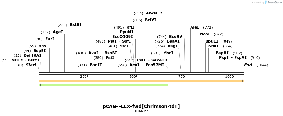 94056_map