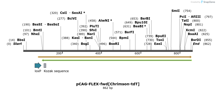 94057_map