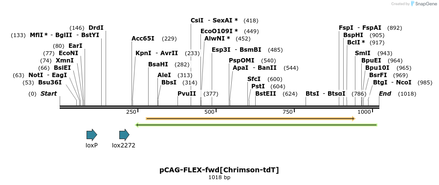 94058_map