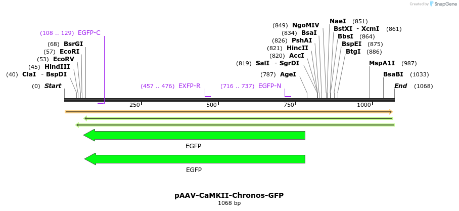 94060_map