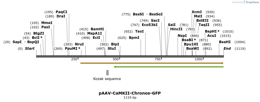 94061_map
