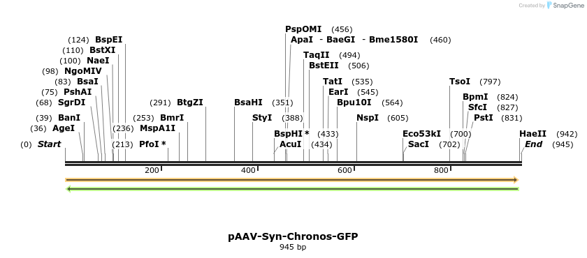 94062_map