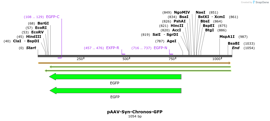 94063_map