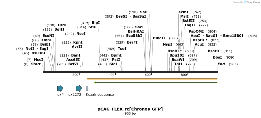 94065_map