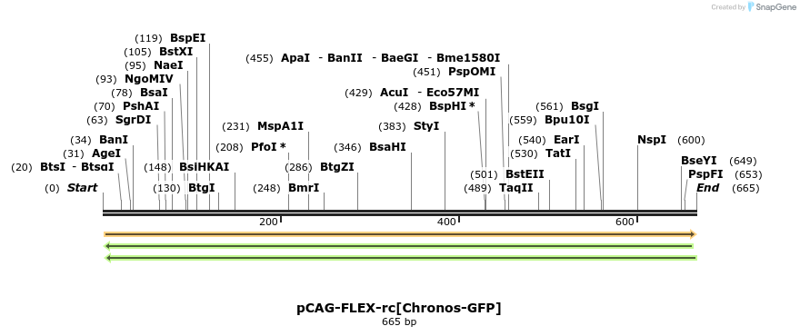 94067_map
