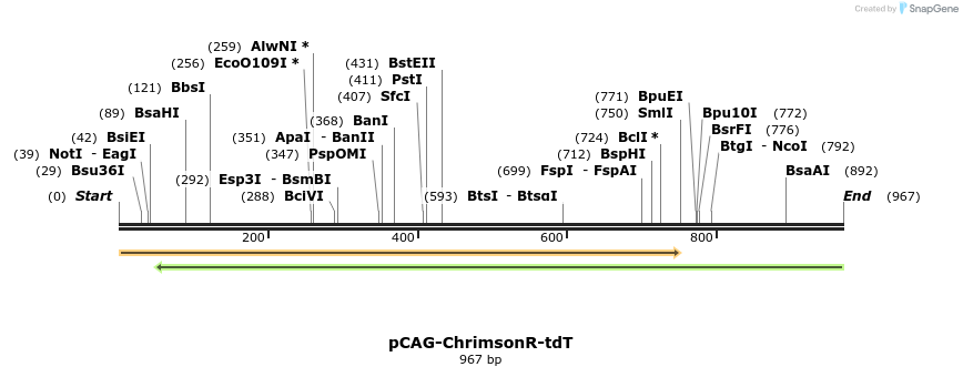 94070_map