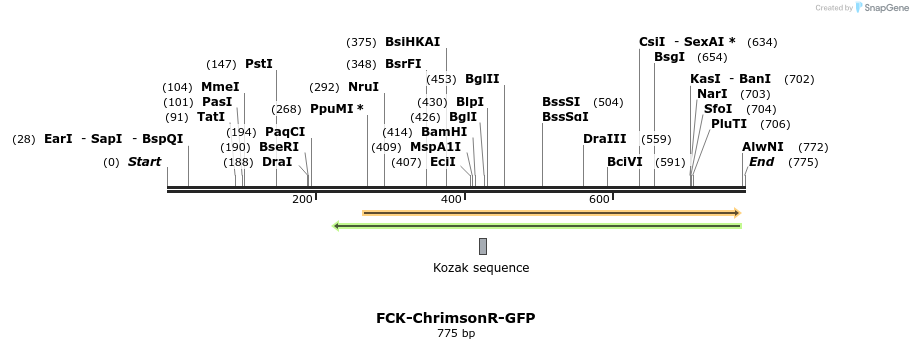 94074_map