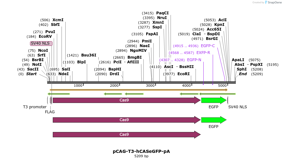 94077_map