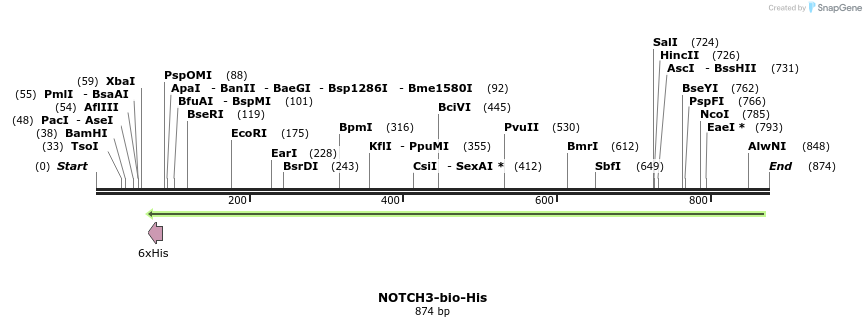 94078_map