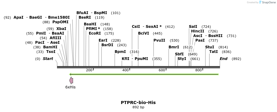 94079_map