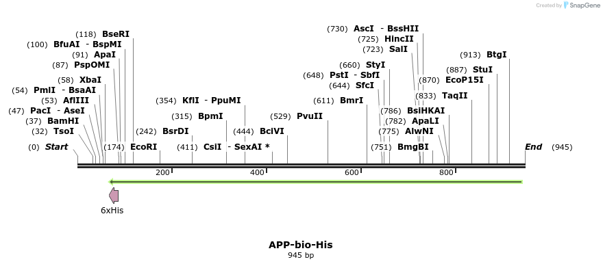 94080_map