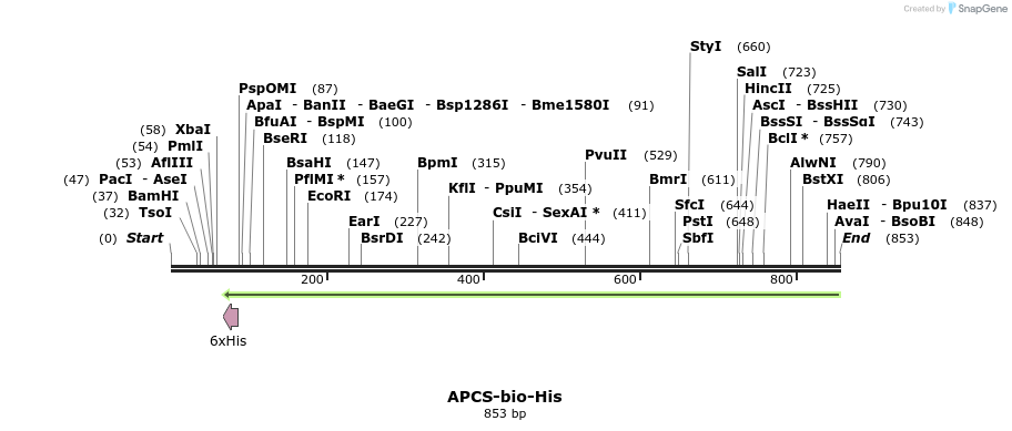 94081_map