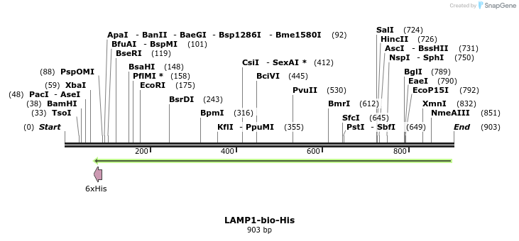 94084_map