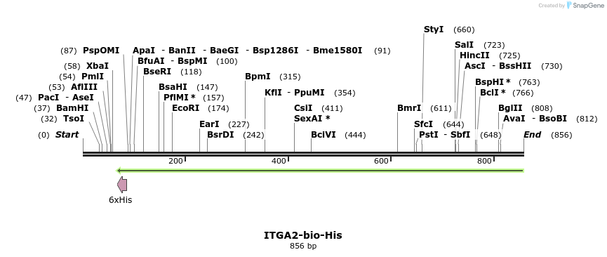 94085_map