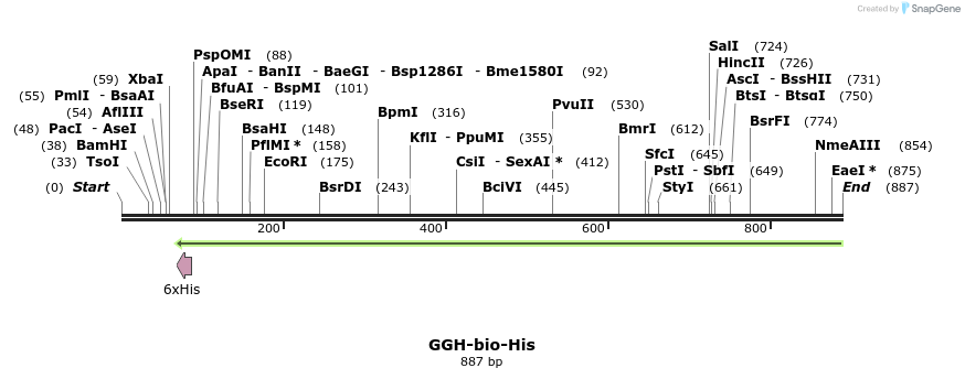 94089_map