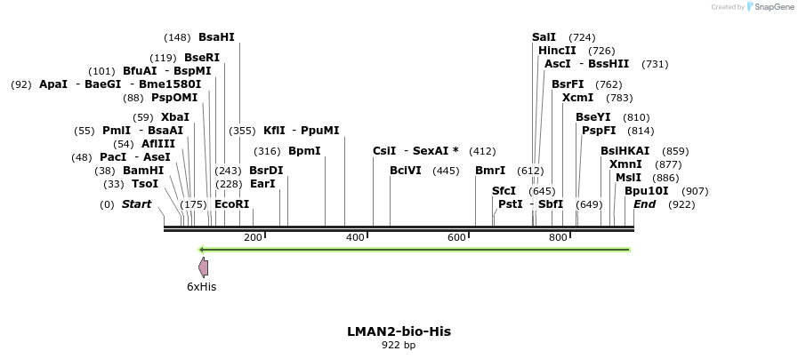 94090_map