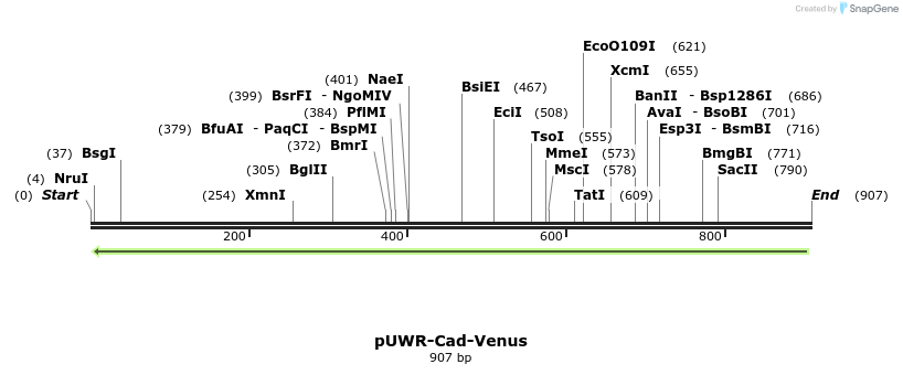 94092_map